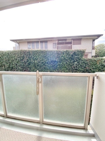 21/24 その他画像