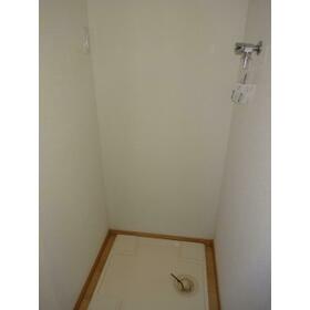 8/16 その他画像