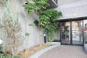 11/14 その他画像