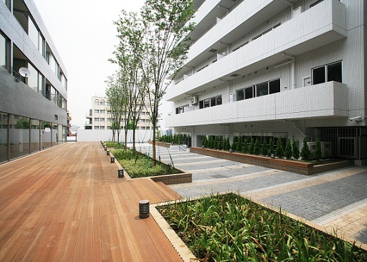 13/16 その他画像