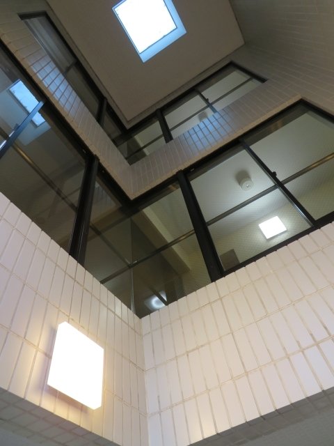 7/19 その他画像