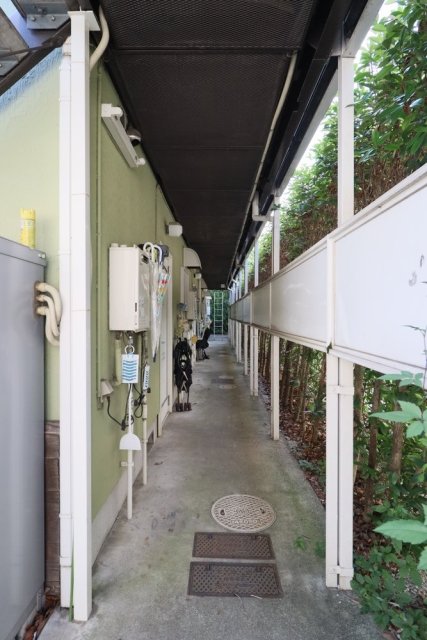 11/23 その他画像