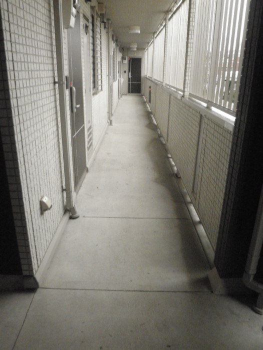 16/21 その他画像