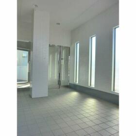 5/16 その他画像