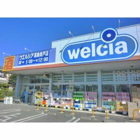 8/16 その他画像