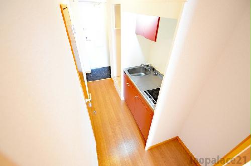 8/24 その他画像