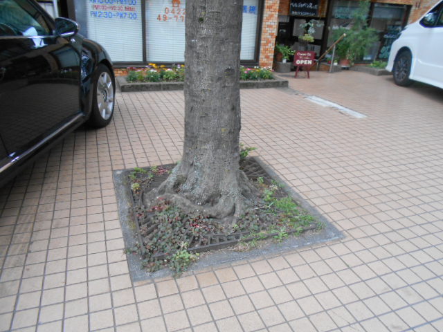 4/5 駐車場