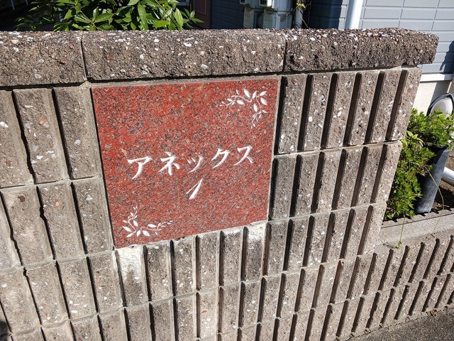 8/22 その他画像