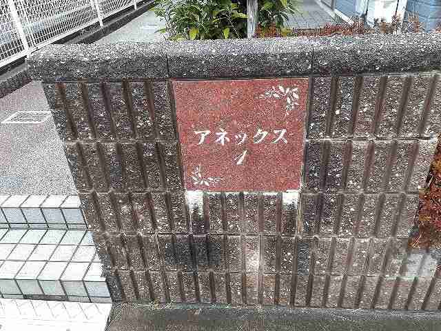 5/22 その他画像