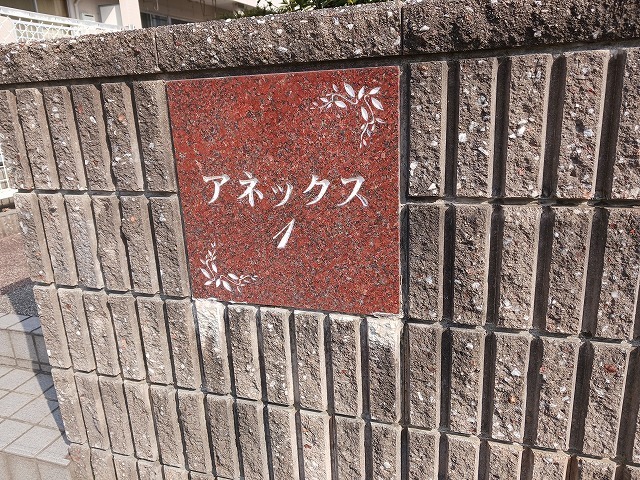 7/22 その他画像