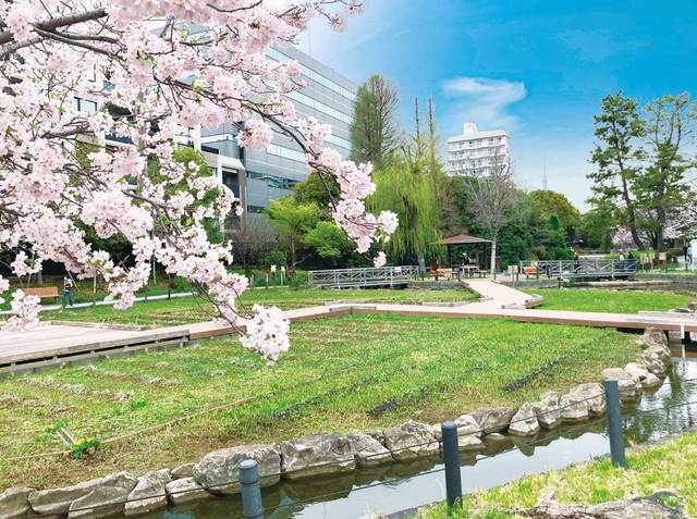 25/28 その他画像