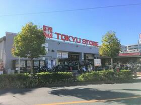 13/16 その他画像