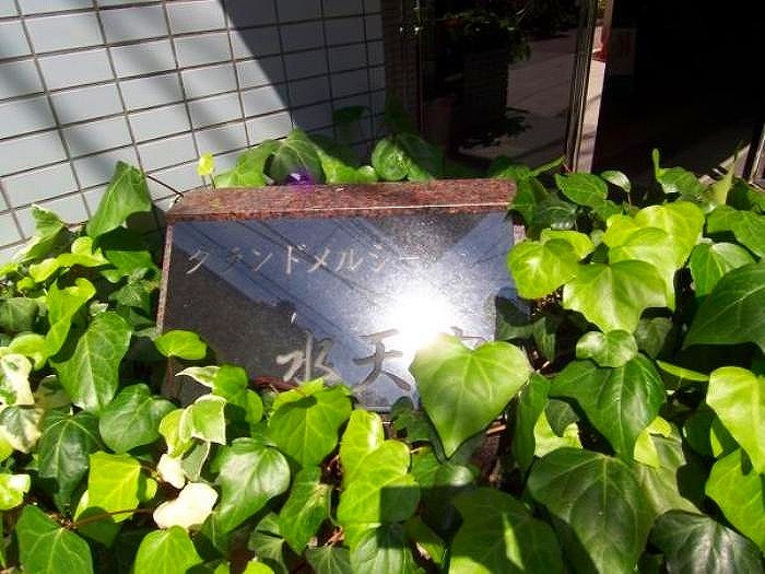 8/10 その他画像