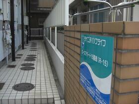 15/16 その他画像