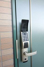 15/16 その他画像