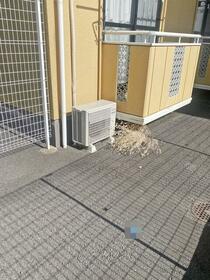 5/18 その他画像