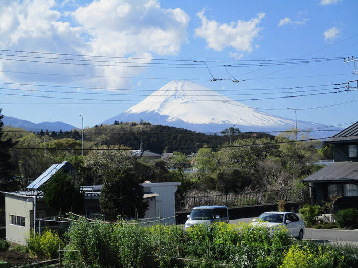 14/25 その他画像
