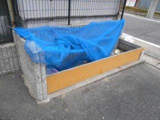 11/18 その他画像