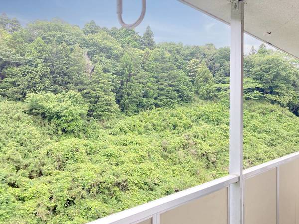 14/17 その他画像