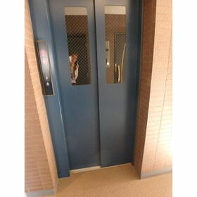 6/11 その他画像