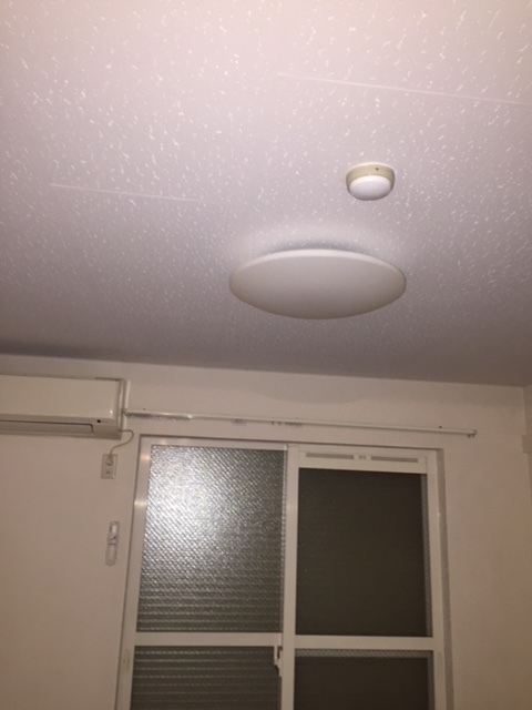 11/12 その他画像