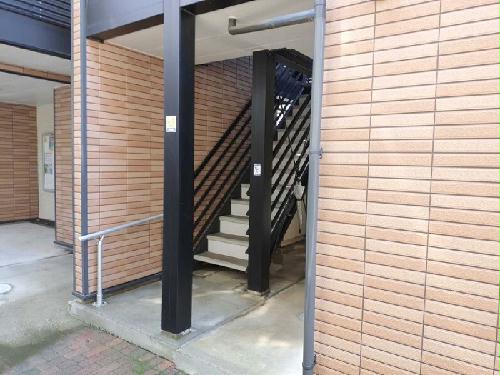 5/11 その他画像