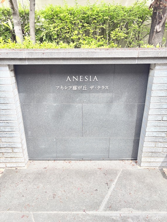 15/16 エントランス