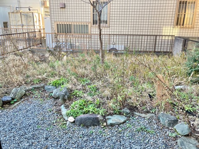 15/20 その他画像