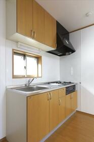 5/16 その他画像