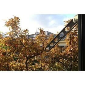 13/13 その他画像