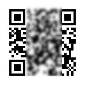 3/13 その他画像