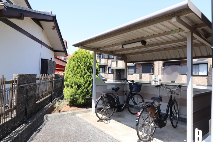 15/19 その他画像