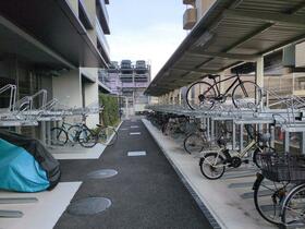 11/15 その他画像