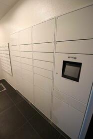 15/16 その他画像