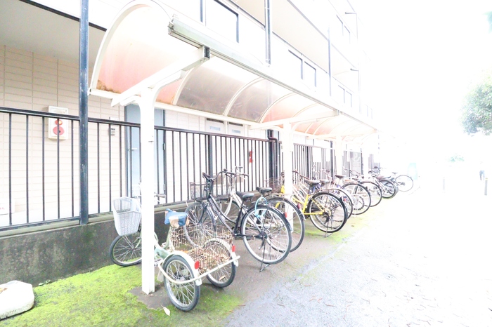 3/14 その他画像