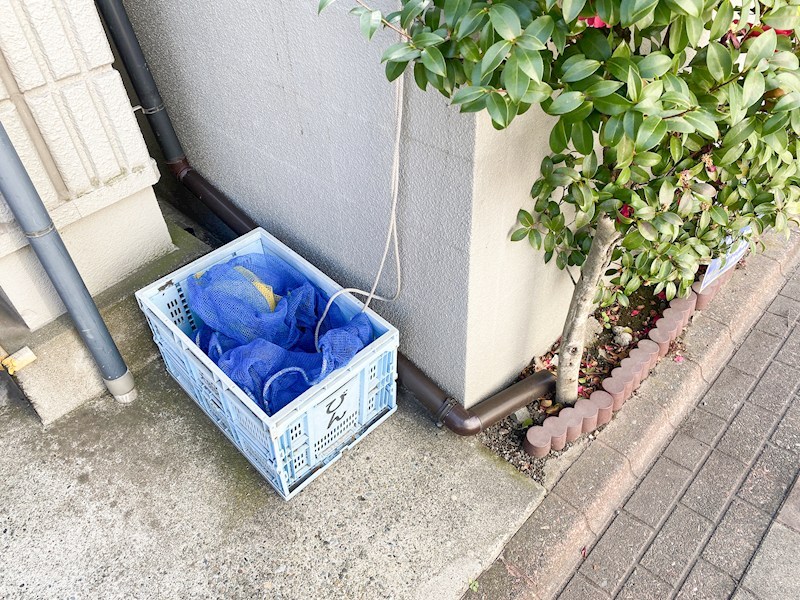 17/19 その他画像