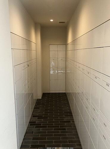 3/14 その他画像