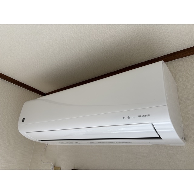 14/19 その他画像