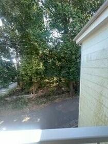 8/11 その他画像