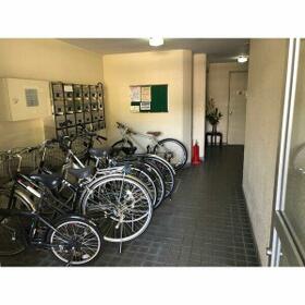 5/11 その他画像