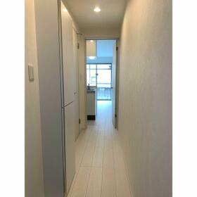 5/11 その他画像