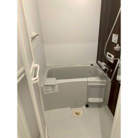 11/11 その他画像