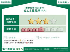11/11 その他画像