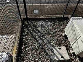 14/16 その他画像