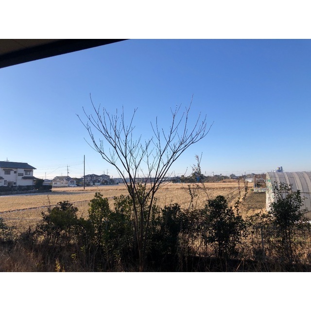 14/17 その他画像