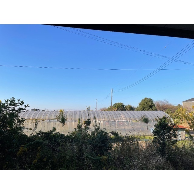 13/17 その他画像