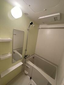 6/11 その他画像