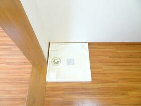 13/16 その他画像