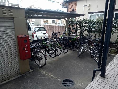 その他画像