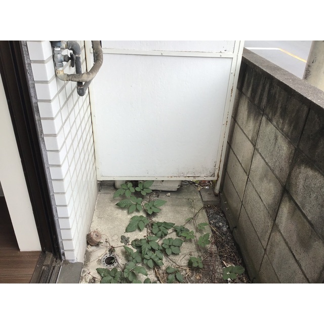 17/18 その他画像